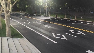 河南三艾斯标线涂料解析与行业趋势分析